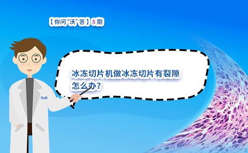冰冻切片机做冰冻切片有裂隙怎么办? 冰冻切片机做冰冻切片有裂隙怎么办?