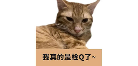 沃谈会 | 扒一扒那些好笑又好哭的审稿意见 沃谈会 | 扒一扒那些好笑又好哭的审稿意见