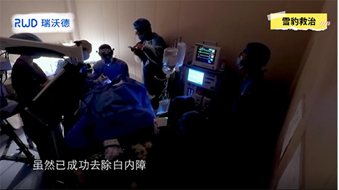 必威官方首页官网betway动物麻醉机助力西宁动物医院完成世界首例雪豹白内障手术 必威官方首页官网betway动物麻醉机助力西宁动物医院完成世界首例雪豹白内障手术