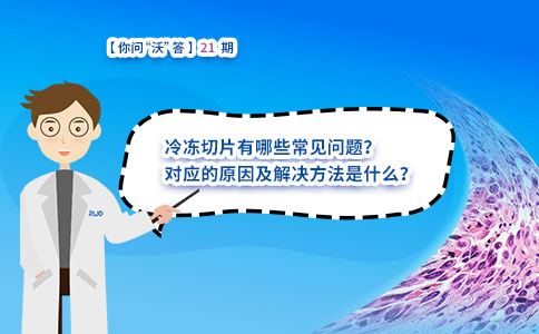 冷冻切片有哪些常见问题?对应的原因及解决方法是什么? 冷冻切片有哪些常见问题?对应的原因及解决方法是什么?