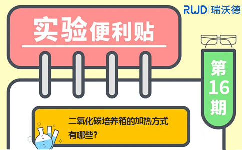 二氧化碳培养箱的加热方式有哪些? 二氧化碳培养箱的加热方式有哪些?