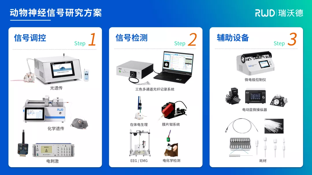 动物神经信号研究方案 动物神经信号研究方案