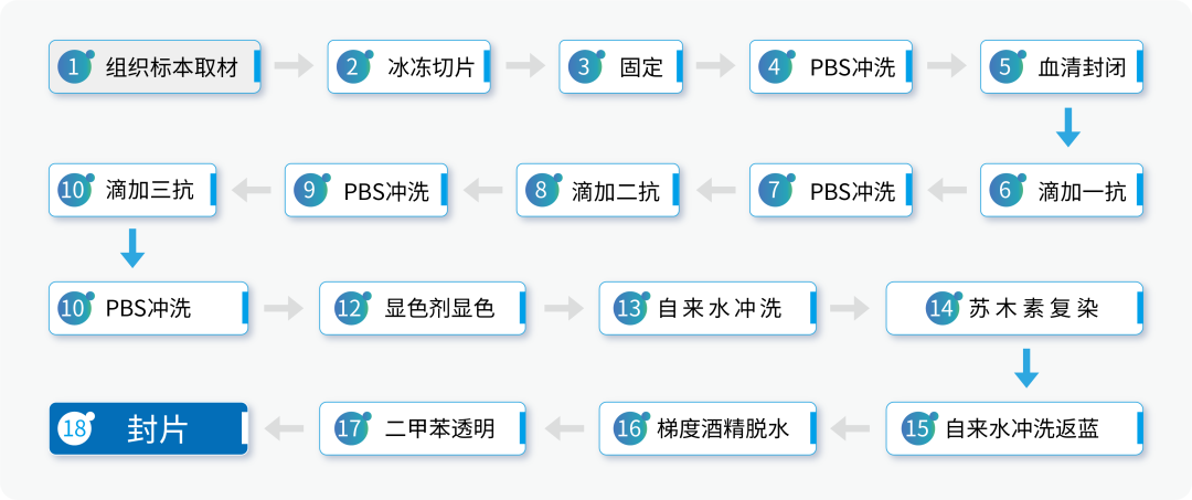 如何在免疫组化冰切中减少冰晶的形成? 如何在免疫组化冰切中减少冰晶的形成?
