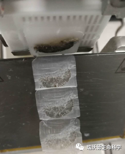 切片厚薄不均 切片厚薄不均