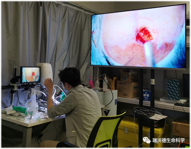 实操培训 实操培训