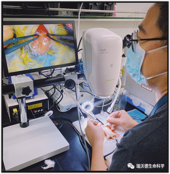 正在操作 正在操作