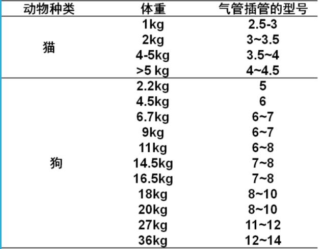 气体插管的选择 气体插管的选择