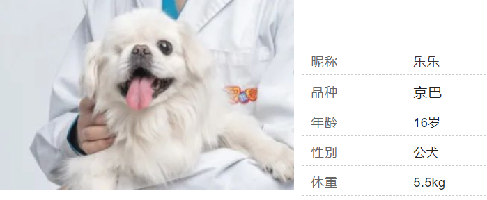 萌宠信息 萌宠信息