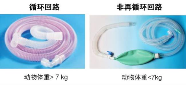 呼吸回路的选择 呼吸回路的选择