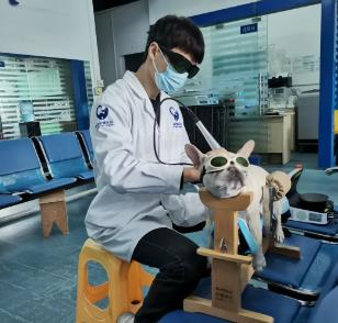 激光理疗仪治疗 激光理疗仪治疗