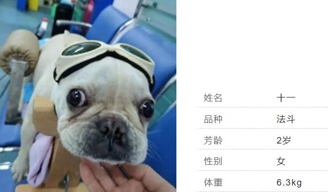 宠患信息 宠患信息