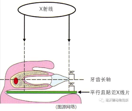 水平拍摄法 水平拍摄法
