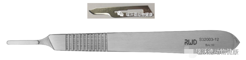 手术刀与刀片 手术刀与刀片