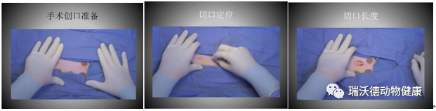 手术创口定位 手术创口定位