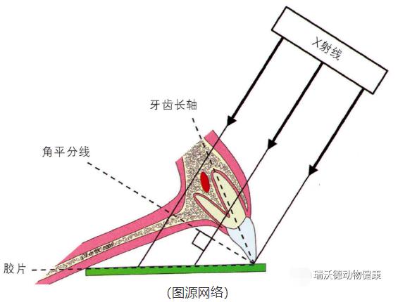 角平分线拍摄法 角平分线拍摄法