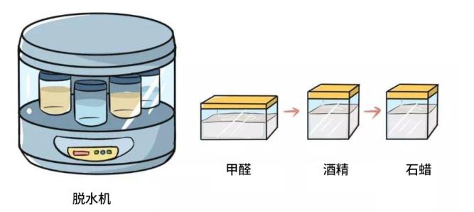 脱水机 脱水机