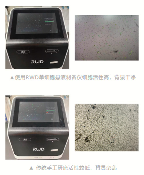 单细胞测序前样本处理 单细胞测序前样本处理