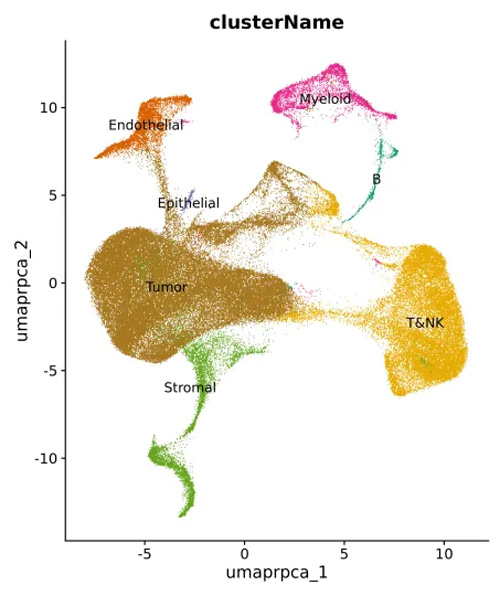 冷冻切片前处理操作以及注意事项有哪些? 冷冻切片前处理操作以及注意事项有哪些?