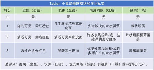 必威官方首页官网betway切片机在OXA诱导小鼠特异性皮炎模型中的应用 必威官方首页官网betway切片机在OXA诱导小鼠特异性皮炎模型中的应用