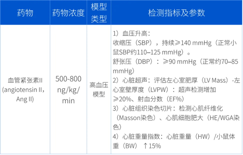 Ang Ⅱ诱导C57BL/6小鼠高血压造模全流程 Ang Ⅱ诱导C57BL/6小鼠高血压造模全流程