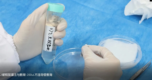 Ang Ⅱ诱导C57BL/6小鼠高血压造模全流程 Ang Ⅱ诱导C57BL/6小鼠高血压造模全流程