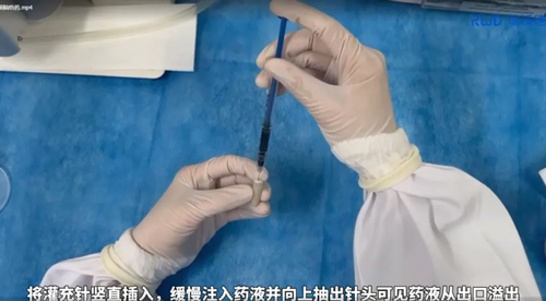 Ang Ⅱ诱导C57BL/6小鼠高血压造模全流程 Ang Ⅱ诱导C57BL/6小鼠高血压造模全流程