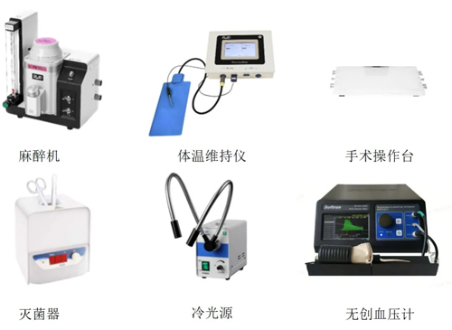 Ang Ⅱ诱导C57BL/6小鼠高血压造模全流程 Ang Ⅱ诱导C57BL/6小鼠高血压造模全流程