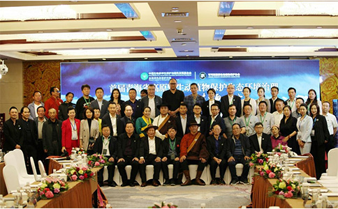 必威官方首页官网betway以行践言，守护生态平衡