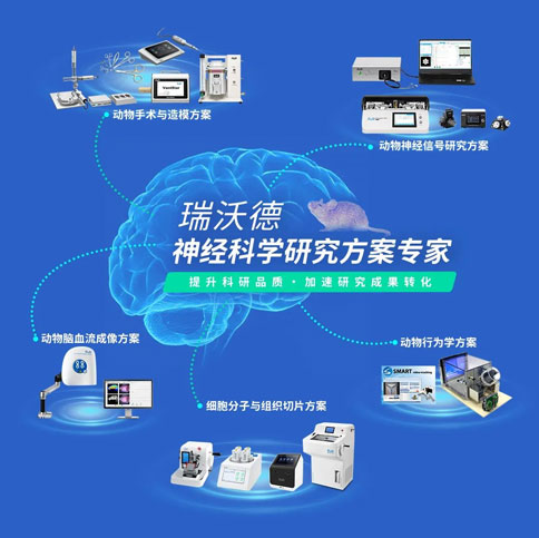 1-必威官方首页官网betway神经科学研究方案.jpg