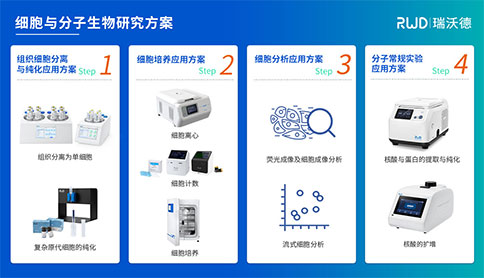 betway在线体育方案
