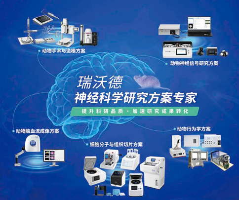 中国神经科学学会第十六届全国学术会议暨第二届中日韩国际会议（以下简称“CNS大会”）将于2023年7月27日-30日在珠海国际会展中心召开。作为我国神经科学领域规模盛大、学术水平高超的学术会议，CNS大会专注于脑科学前沿技术探讨与应用，每年都吸引众多国内外神经科学专家与学者参会，研讨交流近年来神经科学的最新发展及科研成果。 必威官方首页官网betway展位（T18特装展位） 作为一家深耕生命科学领域的公司，必威官方首页官网betway在神经科学研究领域也不断创新，臻于至善，为科研工作者提供全方位的技术和服务支持，已连续多年参与CNS大会。今年，必威官方首页官网betway也将携神经科学研究明星产品及解决方案亮相本次会议。在此，我们诚挚地邀请您莅临必威官方首页官网betwayT18特装展位参观交流！ 中国神经科学学会第十六届全国学术会议 暨第二届中日韩国际会议 2023 年 7 月 27 日－30 日 （27日为展商报到日） 珠海国际会展中心 T18特装展位 一站式“神经科学研究解决方案” 必威官方首页官网betway“神经科学研究解决方案”，融合动物手术与造模方案、动物神经信号研究方案、动物脑血流成像方案、细胞分子与组织切片方案、动物行为学方案，以专业、完整的场景化解决方案，满足神经科学领域不同科研工作者的专业化实验需求，提升科研品质，加速研究成果转化。 神经科学研究解决方案 神经科学领域明星产品重磅亮相 作为神经科学领域的使能者，必威官方首页官网betway坚持突破创新，不断为自研产品注入新动能。我们将在CNS大会上展示三色多通道光纤记录系统、RFLSI ZW激光散斑血流成像系统等多款主流明星产品，欢迎各位莅临必威官方首页官网betway展位（T18特装展位）了解。 明星产品 更多产品 新品发布，共邀体验 在本次大会上，必威官方首页官网betway也将带来神经科学研究的三款新品——TAIJI小动物麻醉机、全自动脑立体定位仪和嗅觉行为训练系统，现场将会有专业人员进行新品发布演讲，诚邀各位同行一起交流讨论。 全自动脑立体定位仪&TAIJI小动物麻醉机 演讲时间：7月29日09:30 必威官方首页官网betway全自动脑立体定位仪，是一款自动化、智能化的脑立体定位仪。电机精准控制步进，可自动化运行，减少人为操作带来的误差，解放双手，节省人工成本；内置大小鼠脑图谱和常用实验任务模块，更加方便和直观地进行脑立体定位。 作为一体化设计的麻醉机，必威官方首页官网betwayTAIJI麻醉机给用户带来了“开箱即通”的便捷体验，在保留核心的麻醉功能的同时，支持诱导与维持双通道独立控制，极大提高了实验效率。低应激诱导盒采用红色外观，可显著降低啮齿类动物的应激反应，更符合动物福利，在结构上采用半开放式，实现在诱导麻醉时进行主动回收，是科研实验室通用的一款高性价比麻醉机。 嗅觉行为训练系统 演讲时间：7月29日14:45 RWD嗅觉行为训练系统支持多只动物同时进行多种气味训练，可拓展与光遗传、电生理等第三方设备联用。系配有专门软件操控系统运行，精确控制气味释放，精准记录行为参数，内置DNMS，DPA，Go/No-Go实验范式，并支持自主编辑，对于开展神经系统疾病、认知学习记忆以及嗅觉环路相关机制等研究有很大帮助。 专家团坐阵，精彩好礼享不停 除了必威官方首页官网betway神经科学研究产品的体验，现场也提供技术咨询服务。必威官方首页官网betway解决方案专家团将在现场全天候为您解答对应研究领域的产品应用难题，并提供定制化的解决方案。 同时，展位设置了必威官方首页官网betway产品以旧换新的专属福利，更有耗材产品限时促销、幸运抽奖等活动，定制音响、商务背包、电风扇等礼品等你来！（活动详询现场工作人员） 展台现场活动（部分） 2023CNS大会 必威官方首页官网betwayT18特装展位 我们恭候您的到来