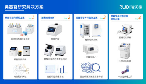 必威官方首页官网betway邀您共赴2024第四届类器官大会—类器官与新药研发会议暨 ISoOR 2024 国际类器官高峰论坛