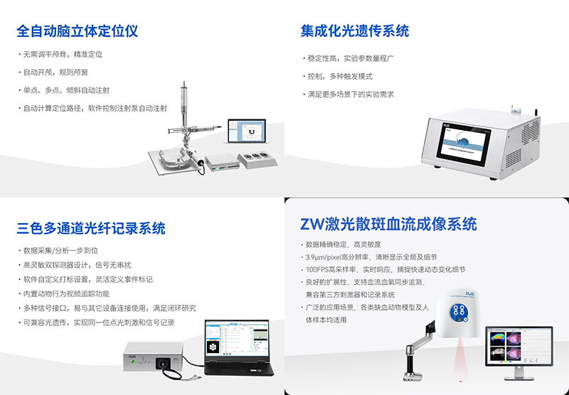 必威官方首页官网betway邀您共赴2024长三角神经科学论坛