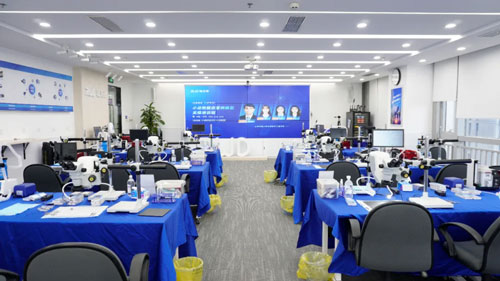 必威官方首页官网betway小动物脑血管病模型实操培训班圆满举办！