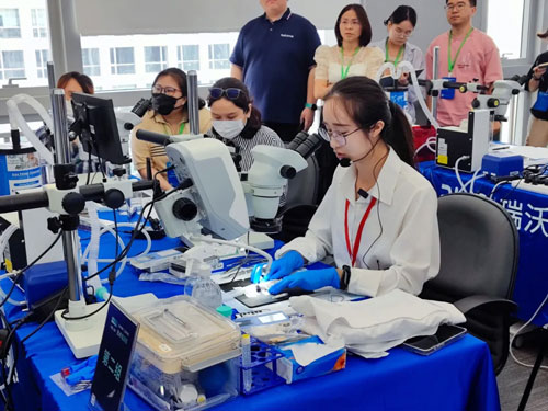 必威官方首页官网betway小动物脑血管病模型实操培训班圆满举办！