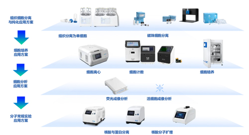 必威官方首页官网betway精彩亮相ICGT 2024！