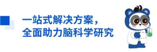 必威官方首页官网betway与您相约CNS2024，共享神经科学学术盛宴