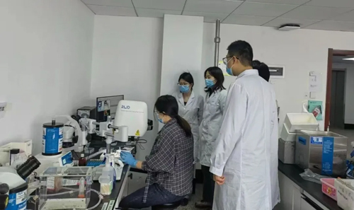 对话Blood通讯作者唐小芃教授，揭秘医学顶刊背后的科学探索