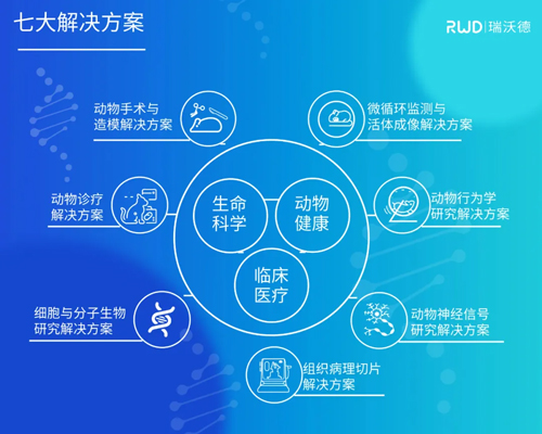 必威官方首页官网betway