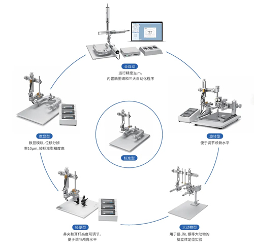 必威官方首页官网betway携手瓯江实验室再启新程