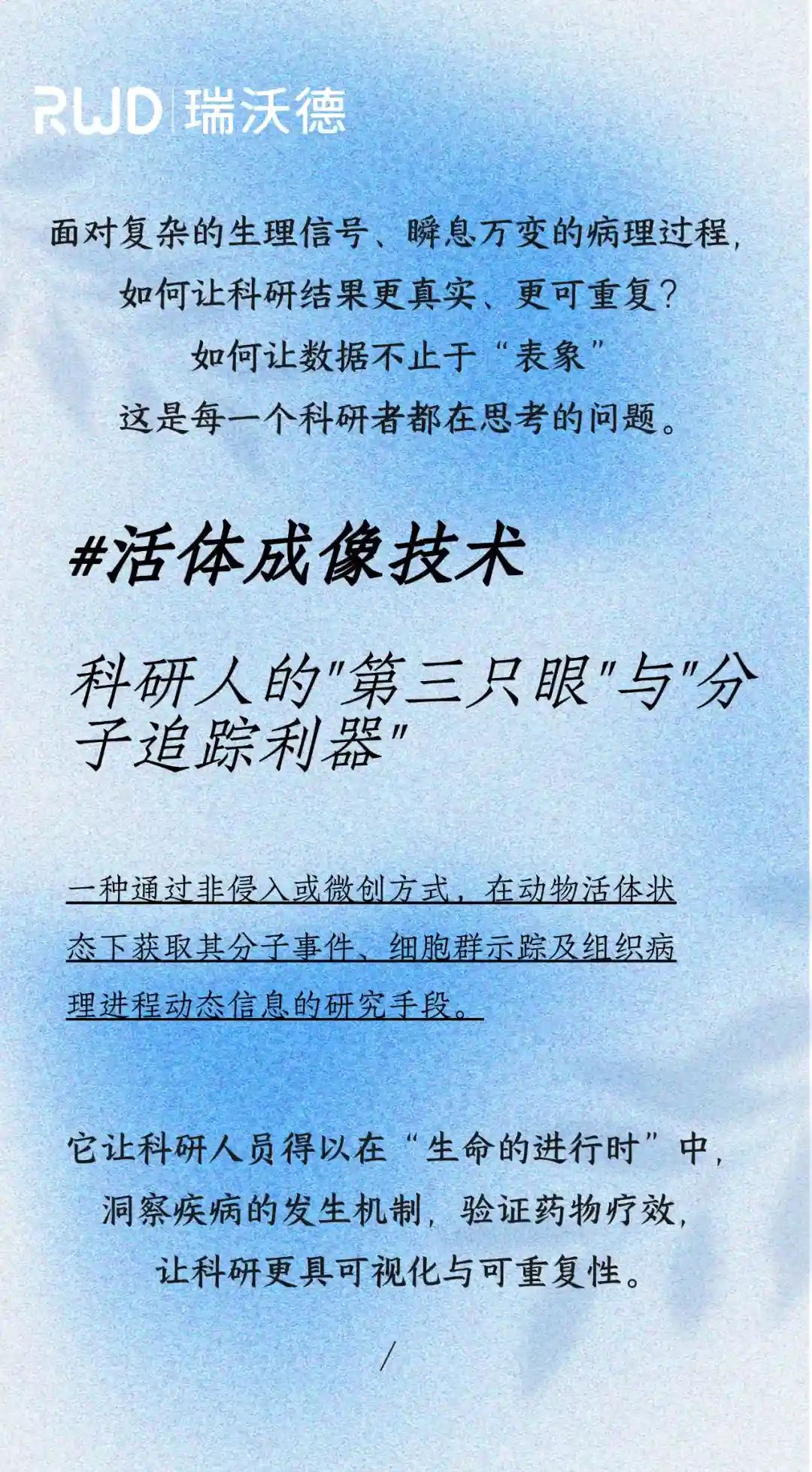 活体成像1.jpg