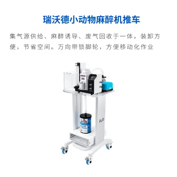 23zhoulian-7.jpg