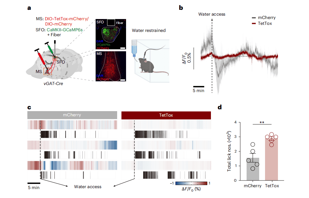 必威官方首页官网betway