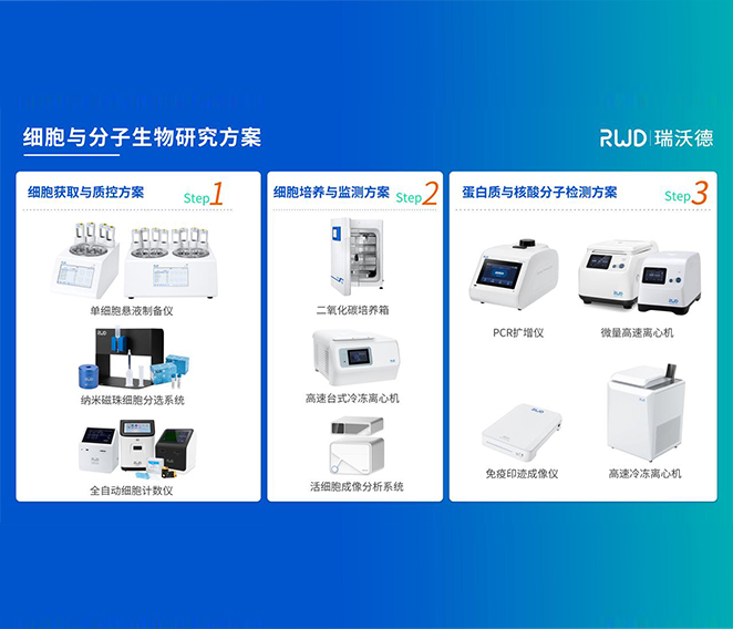 必威官方首页官网betway细胞分子