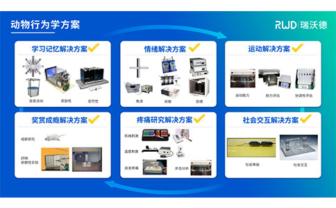 必威官方首页官网betway行为学整体解决方案