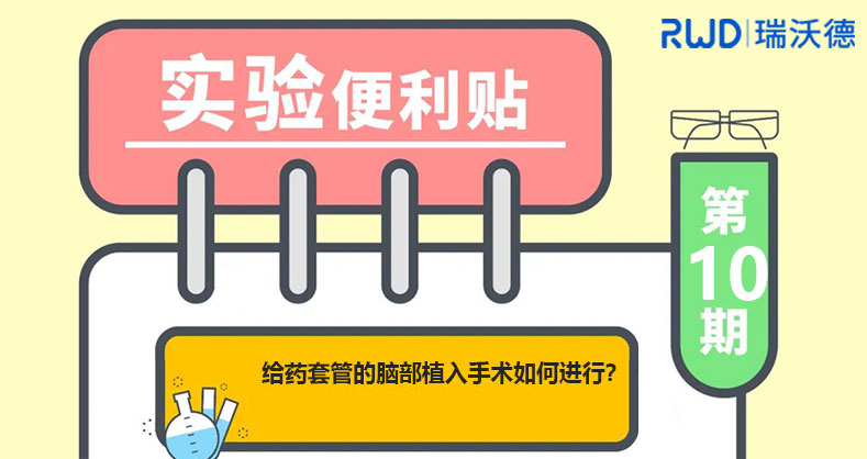 给药套管的脑部植入手术如何进行？