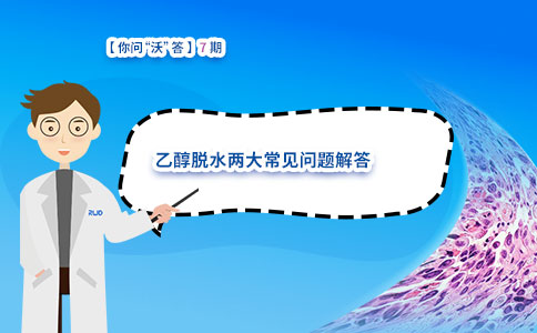 乙醇脱水两大常见问题解答