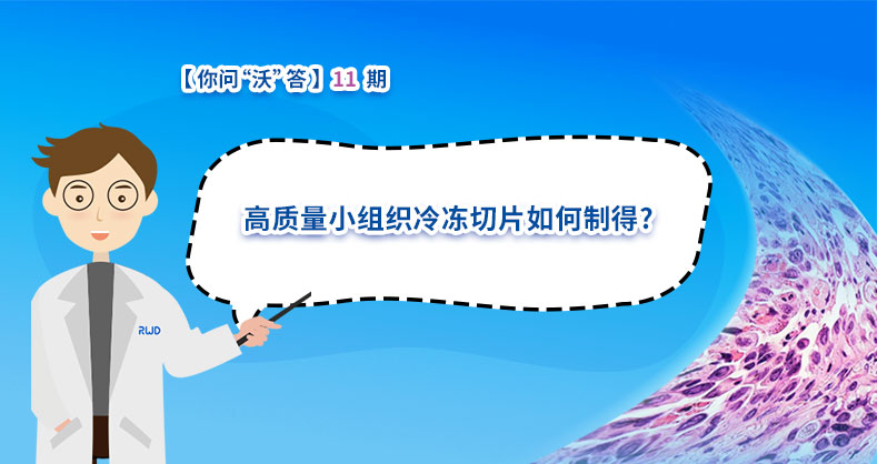 高质量小组织冷冻切片如何制得?