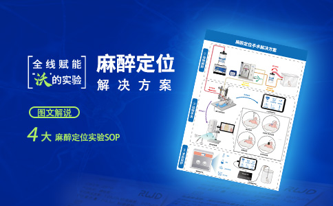 动物麻醉定位手术手册