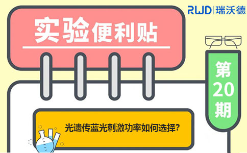 光遗传蓝光刺激功率如何选择